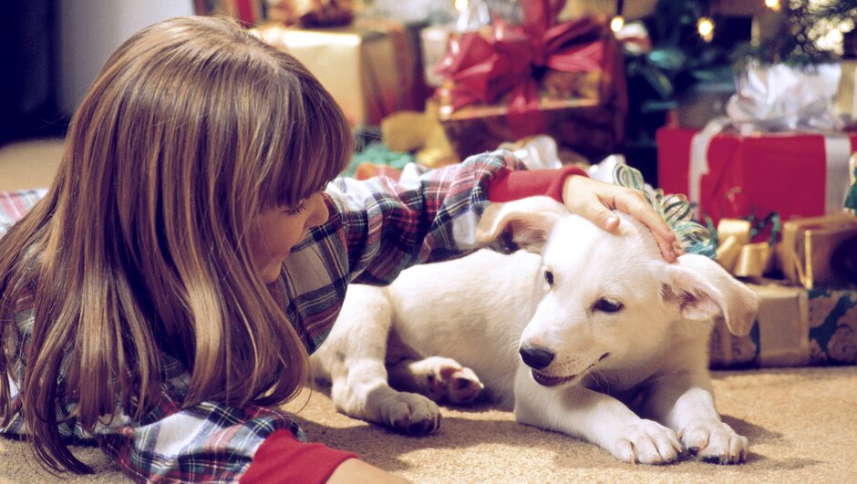 flicka och vit hundvalo på golvet framför julgran