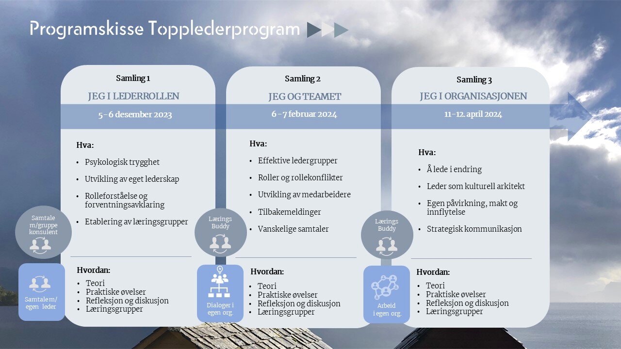 Programskisse Topplederprogram (med forbehold om endringer)