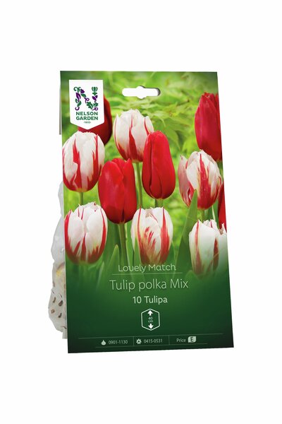 Lökmix Nelson Garden 'Lovely Match Tulip Polka'