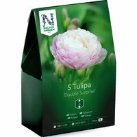 Dubbel tulpan Nelson Garden 'Double Surprise'