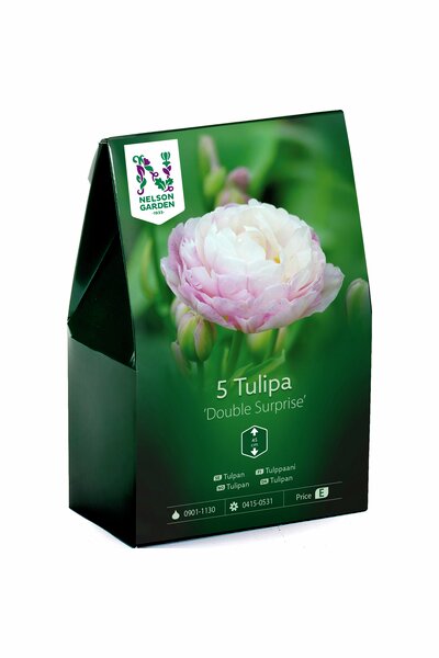 Dubbel tulpan Nelson Garden 'Double Surprise'