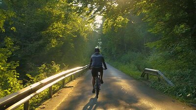 Cyklist på landsväg i skogen