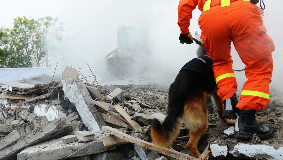 Mies ja koira pelastustehtävissä maanjäristysalueella.