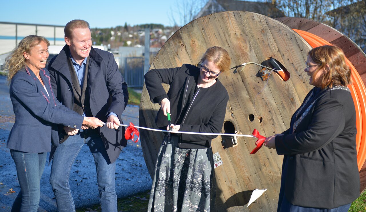Indsustridagene på Raufoss