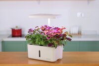 Hydroponiskt odlingsset Greenline Urban Growing