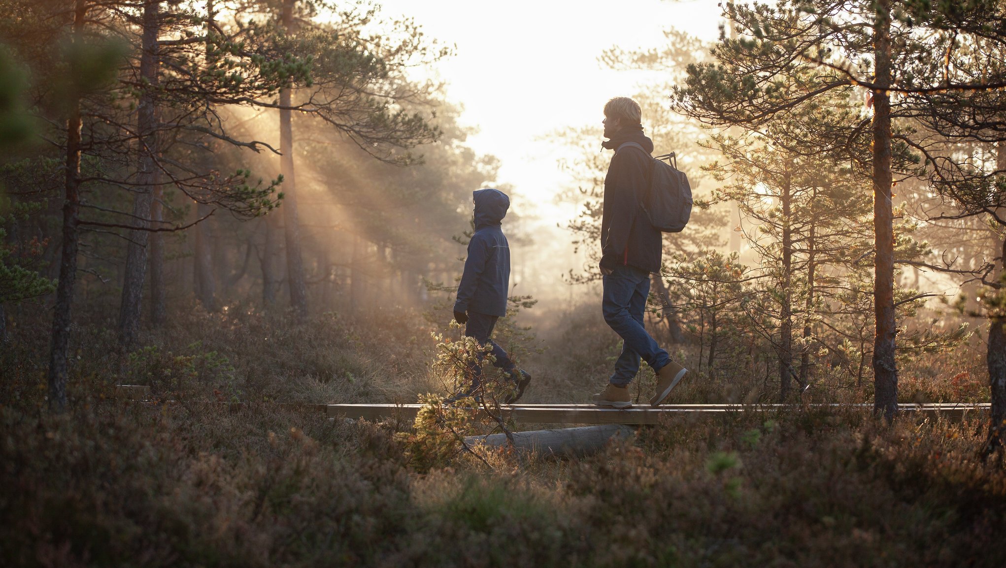 parent and child walking in forest.