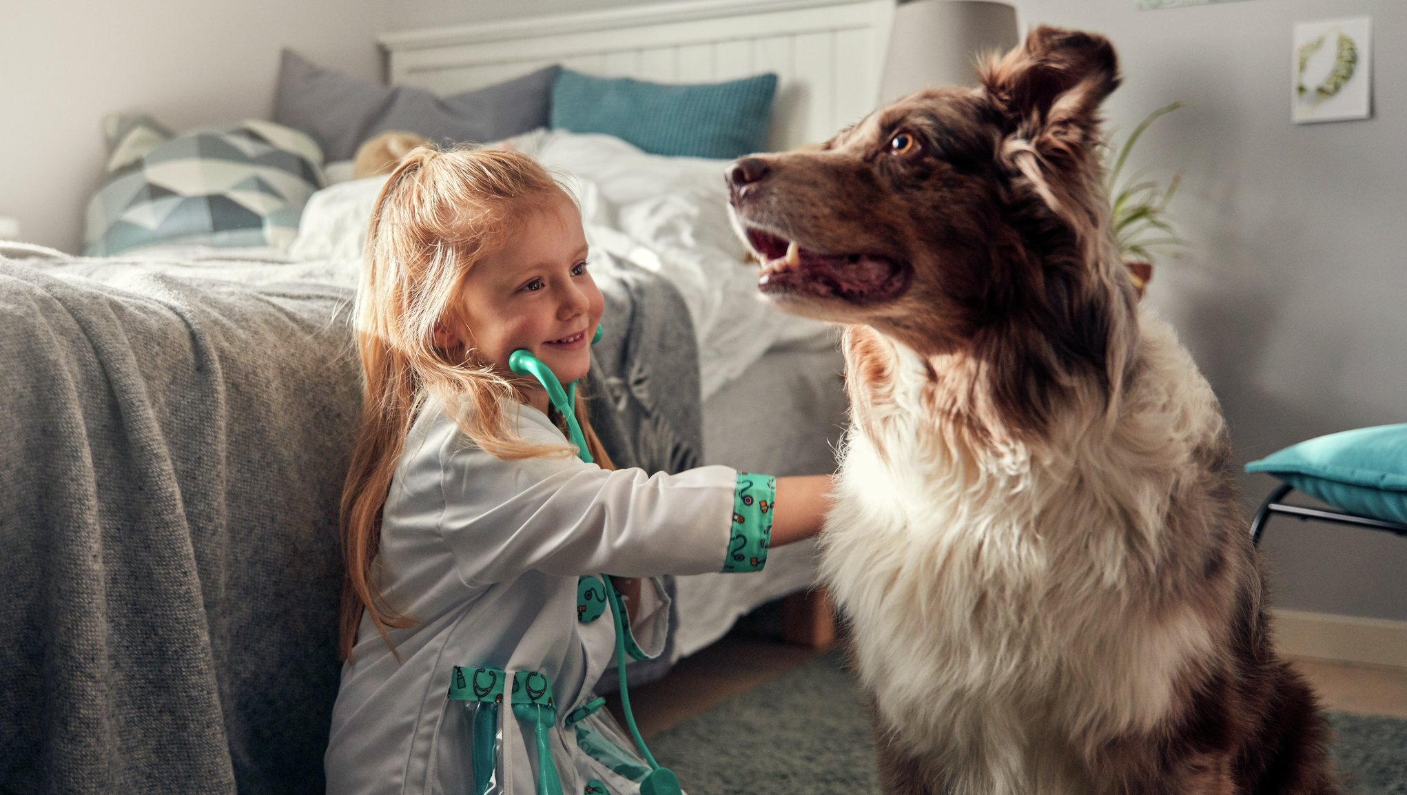 hypotese Give mærkelig Hundeansvarsforsikring | Beregn hundeforsikring på 30 sek