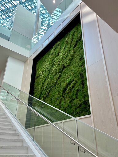 green wall at If's office in Espoo