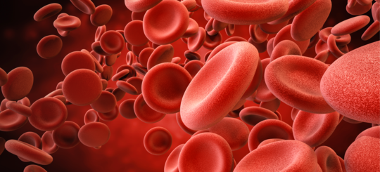 Hemoglobin finnes inni de røde blodcellene. Foto: Shutterstock / Phonlamai Photo
