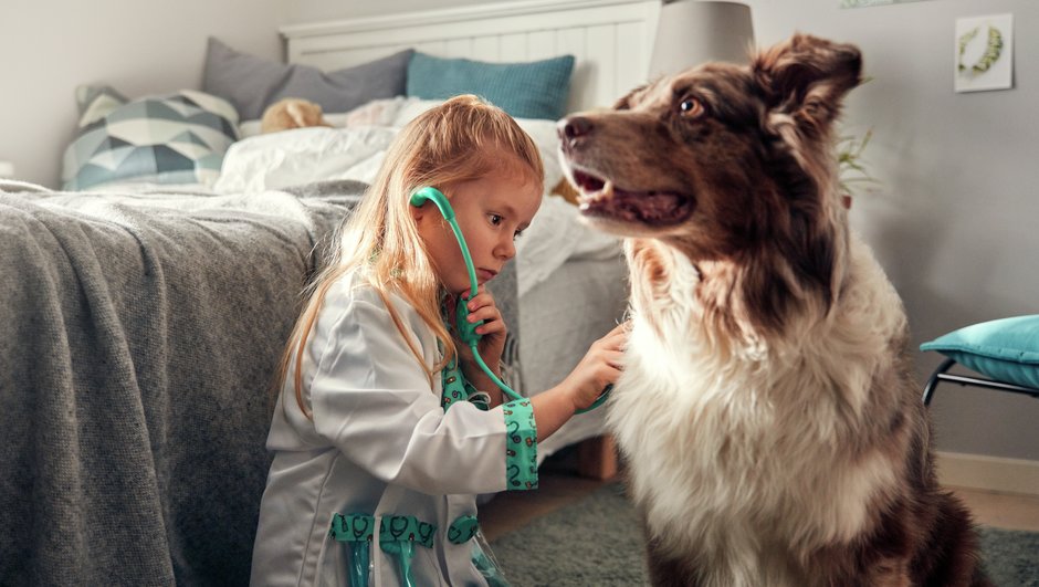 tyttö kuuntelee stetoskoopilla koiran sydäntä