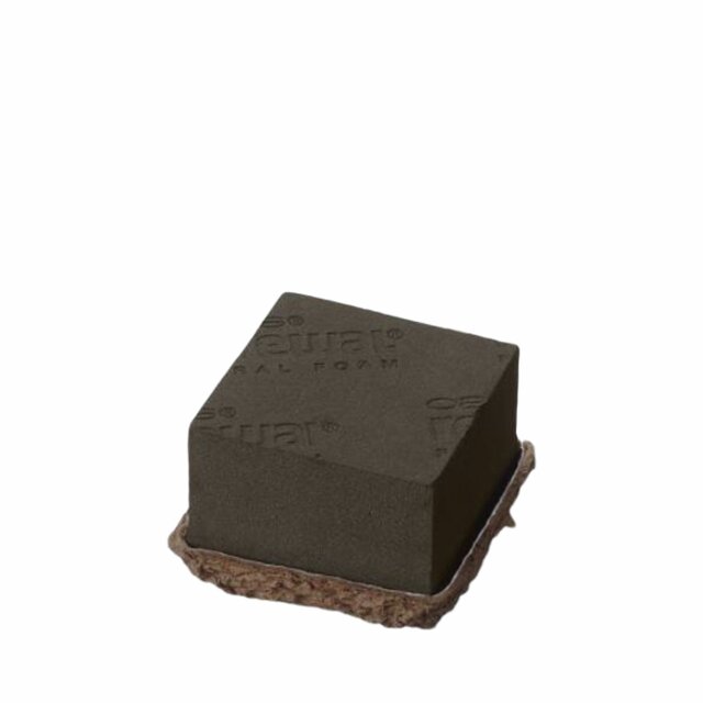 OASIS Renewal™ 1/2 Brick Biolit base