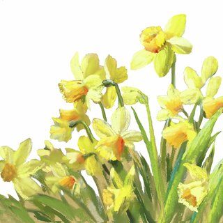 Napkin Lunsj Golden Daffodils