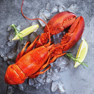 Napkin Lunsj Fresh Lobster