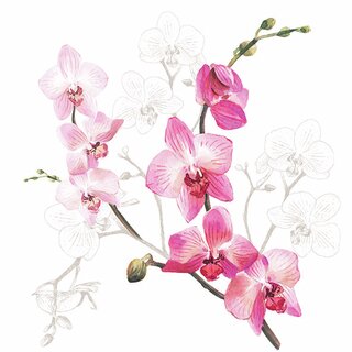 Napkin Lunsj Orchid