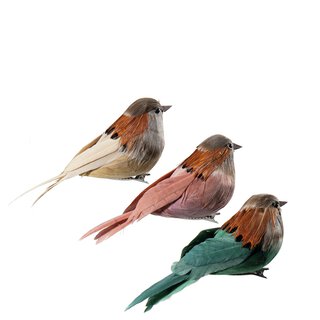 Fugl på klype 3ass L11 B4 H5 cm beige/rosa/grønn