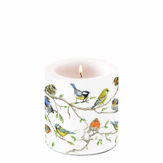 Candle Small Birds Meeting