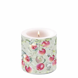 Candle Small Fresh Apples
