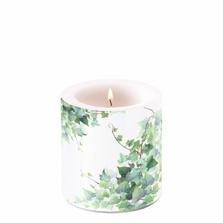Candle Small Hedera