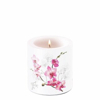 Candle Small Orchid