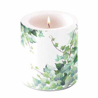 Candle medium Hedera white