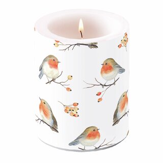 Candle Big Robin Family