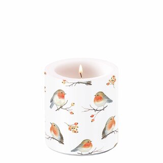 Candle Small Robin Family