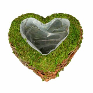 Hjärta plant, mossa och grenar, 20 cm