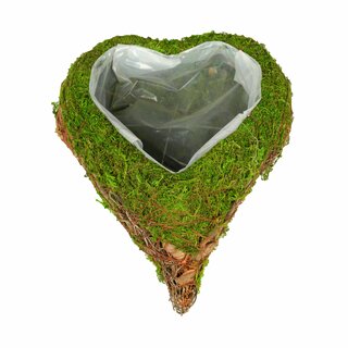Hjärta plant, mossa/grenar, 25 cm