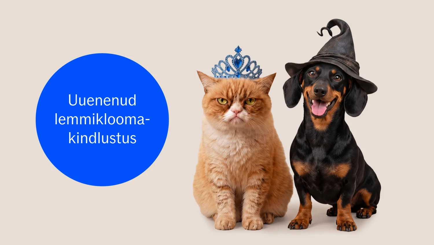 Pika ja õnneliku elu heaks