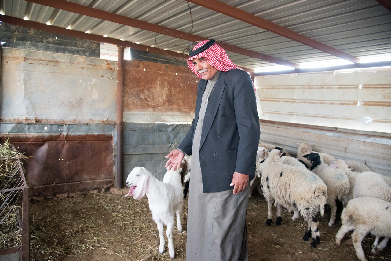 Beduinene i frodige Jordandalen har fått konfiskert land og har ikke nok beitemarker. (Foto Ingunn Eriksen)