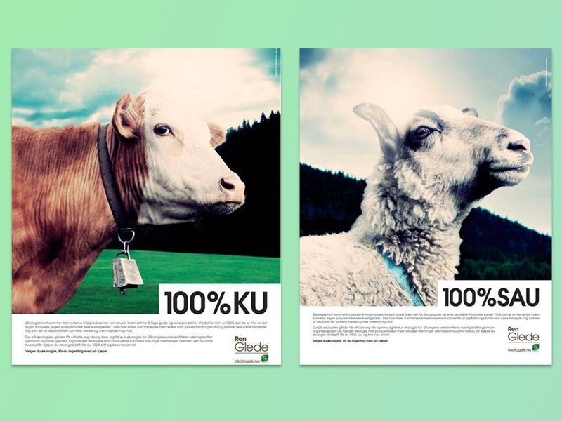 Kampanje økologisk mat KSL Matmerk 2009 100% ku Ø-merket Debio økologisk landbruk