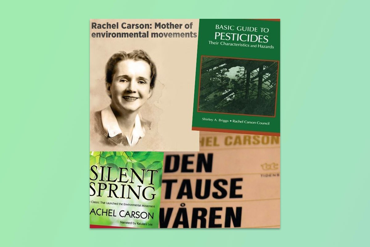 Rachel Carson Den tause våren 1962 miljøbevegelsen miljøvern DDT økologisk landbruk 
