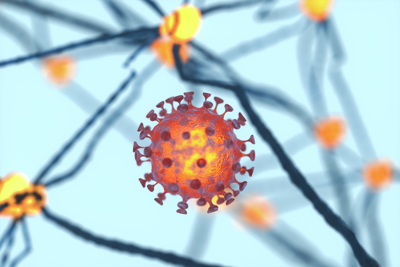 Dispersed corona viruses with nervous system background, 3d rendering. Computer digital drawing.