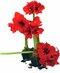 Miniatyrbild av produktbild - 2 av 4