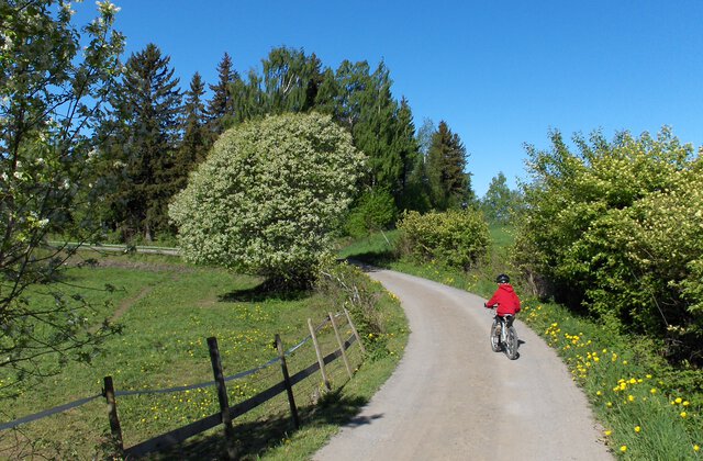 Sykkeltur i Gjefsengutua