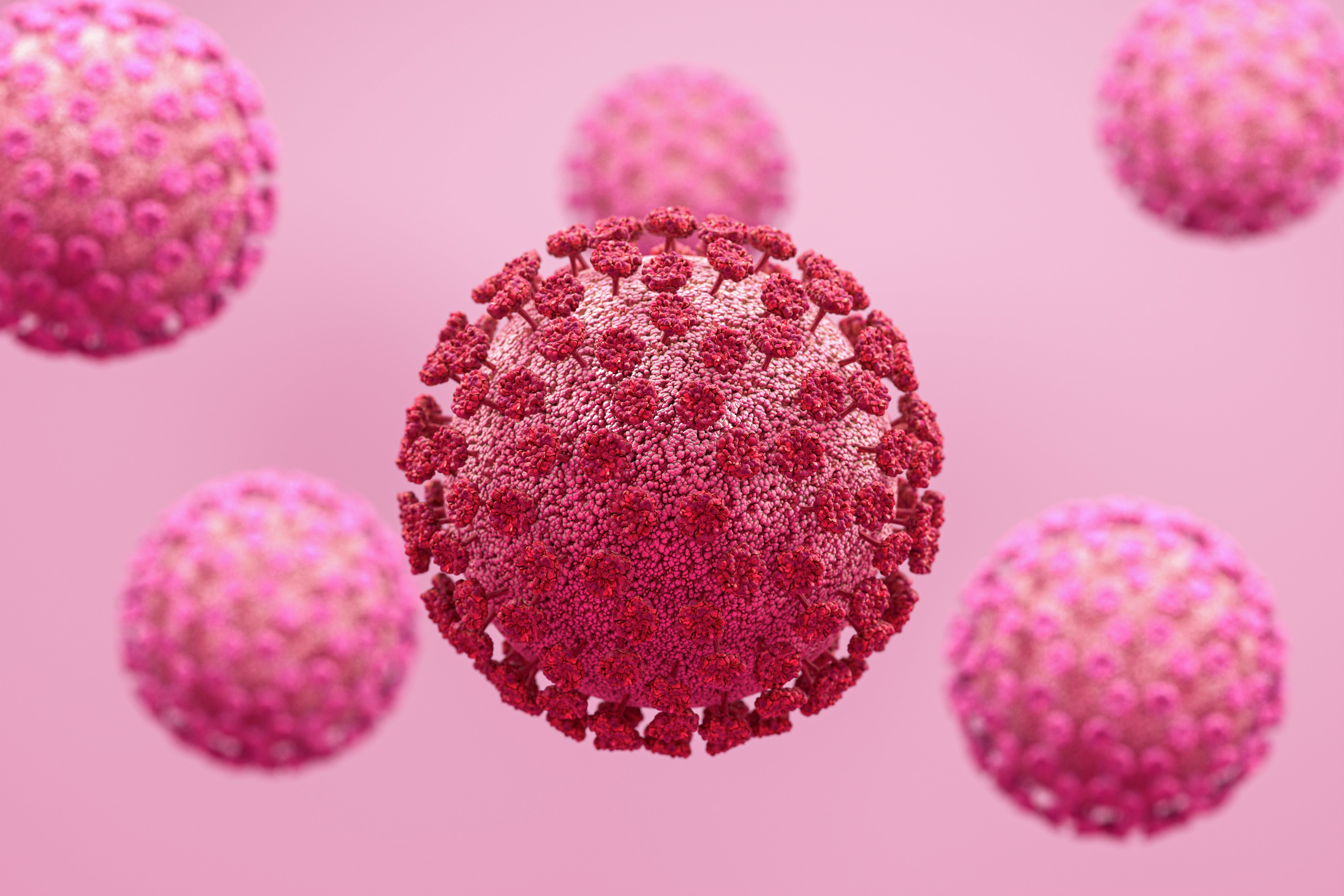 Medical concept illustration of multiple corona viruses on pink, 3D render