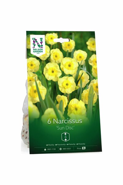 Narciss Nelson Garden 'Sun Disc'