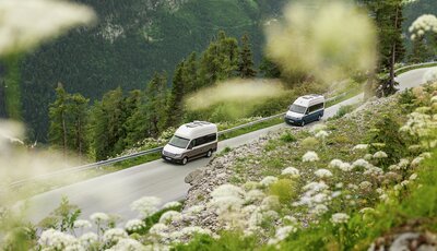 Två transportbilar kör på en somrig väg vid berg.