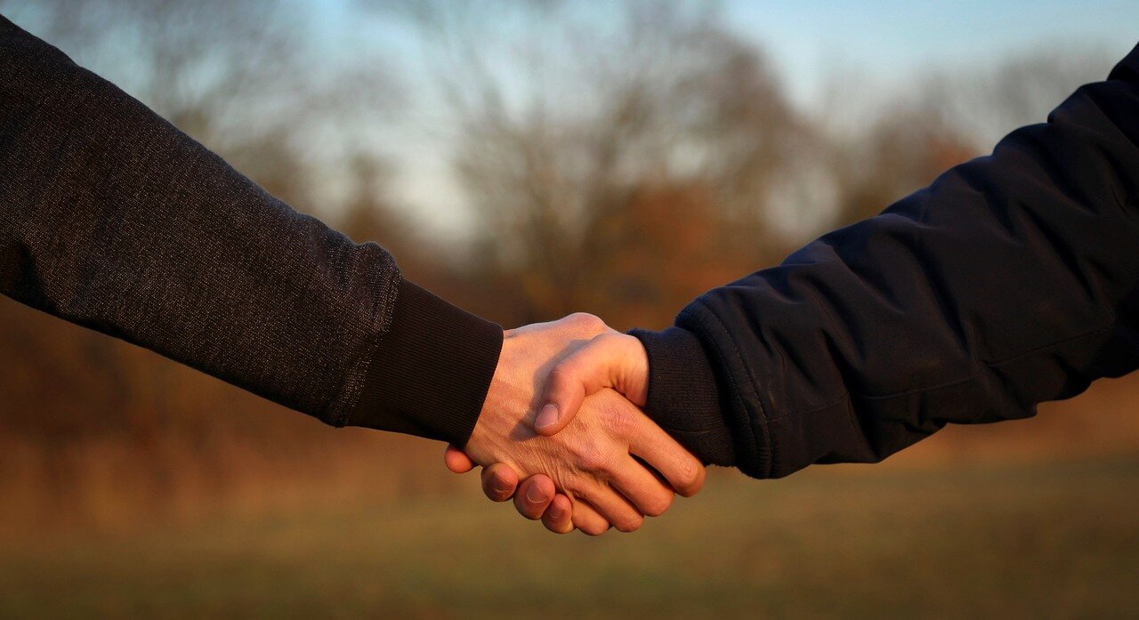 Handshake, Hands, Friendship image