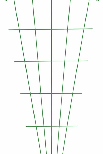 Trådspaljé Nyby Bruk rak solfjäder 30–75x150cm