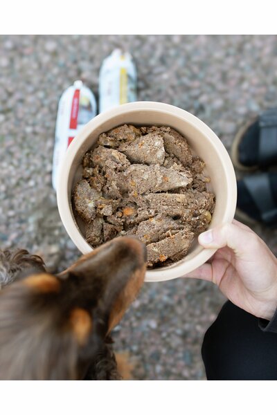 Våtfoder Halla köttkorv lamm med broccoli för hund