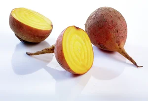 Gulbete