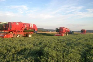 Erter maskiner frossne erter Findus