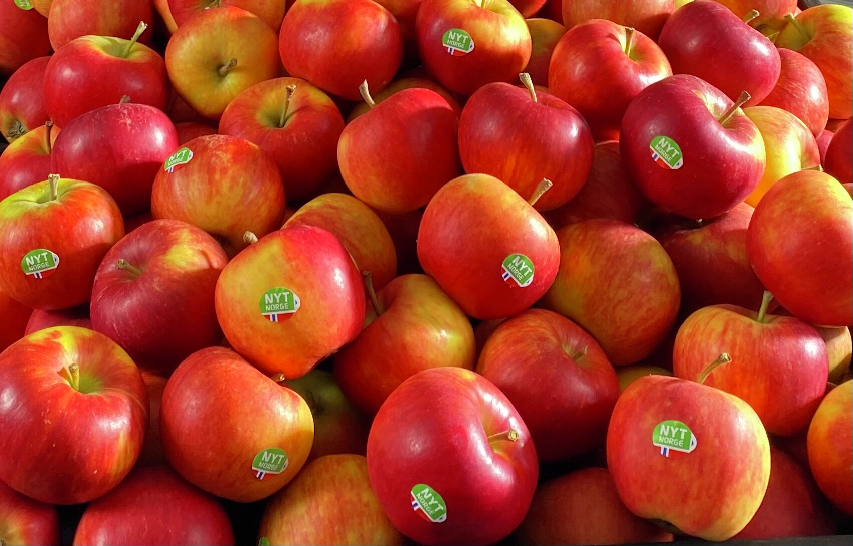 Epler merket med Nyt Norge