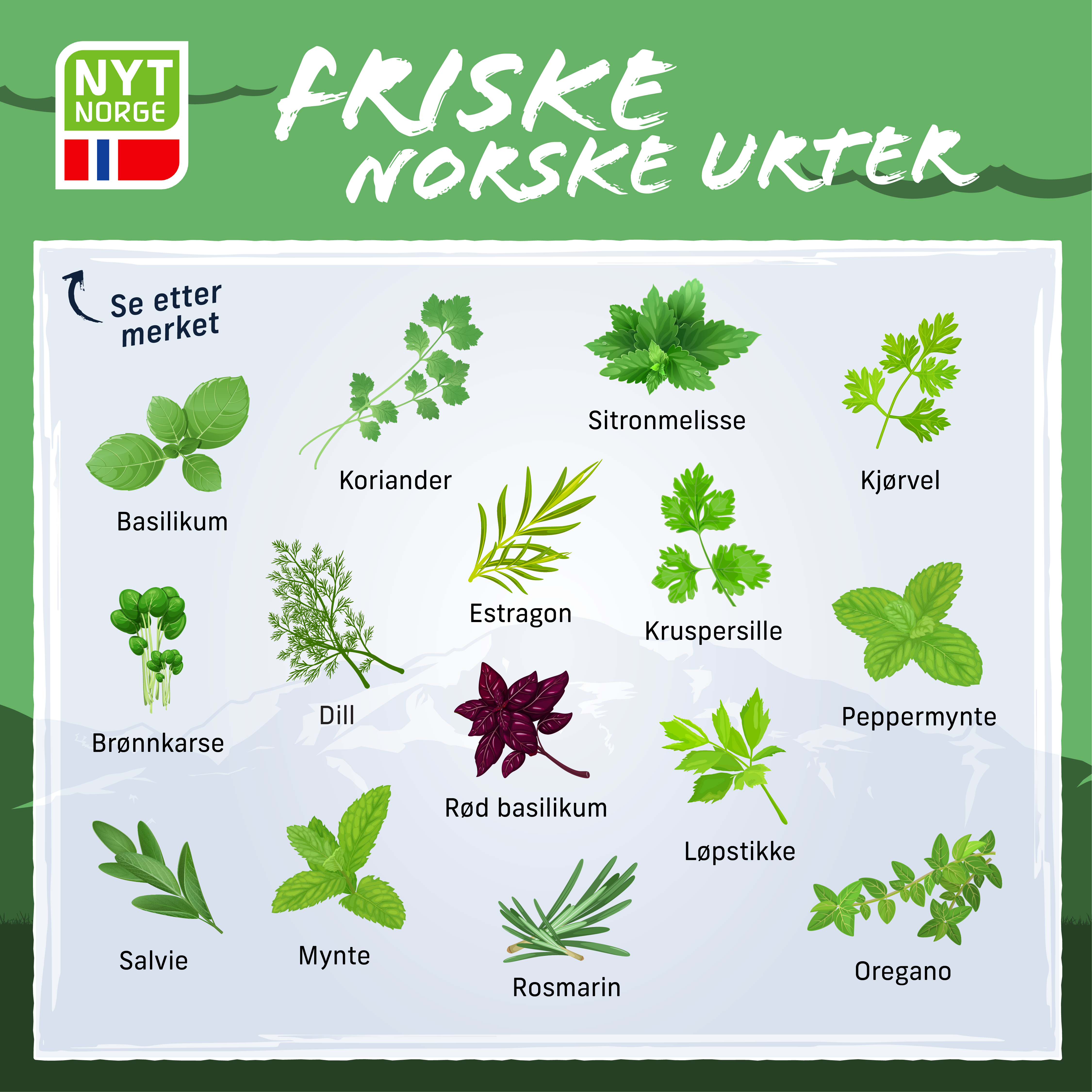 Nyt Norge urteplakat