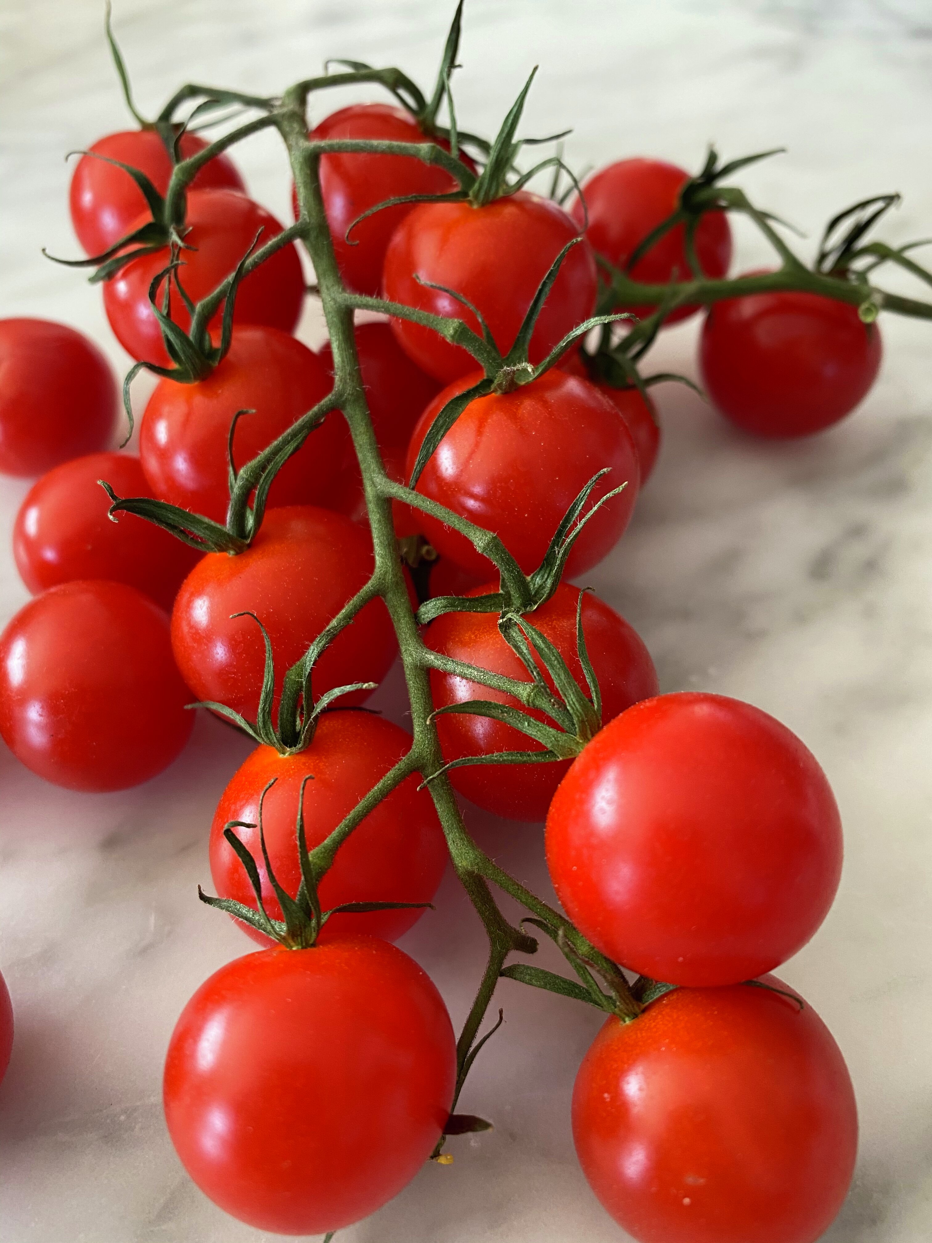 Små norske tomater