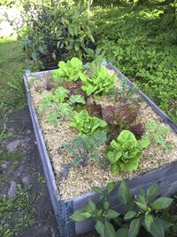 Lättströ Granngården hampa 20kg