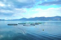Hardanger