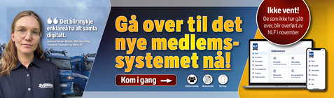 Trøndelag reg 6 uke 43