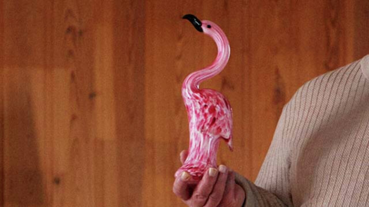 Hvem skal arve flamingoen etter tante? Illustrasjon.